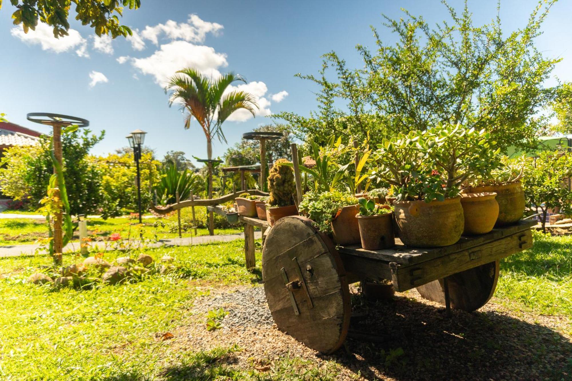 Vila Da Mata Chales Alto Paraíso de Goiás Eksteriør billede